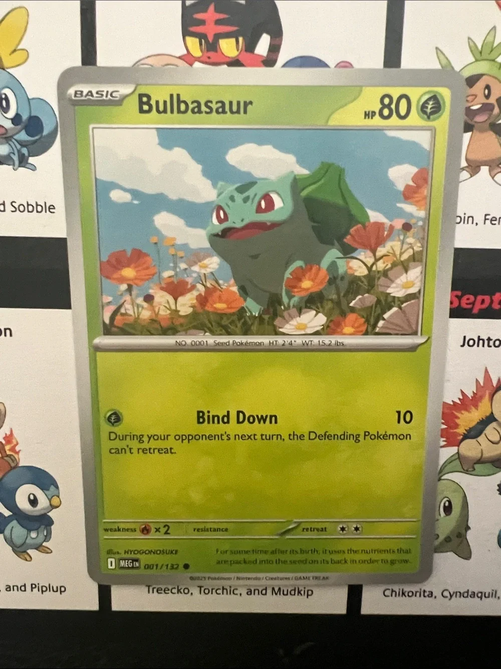 Pokemon Bulbasaur Card - Green, Blue, Orange
